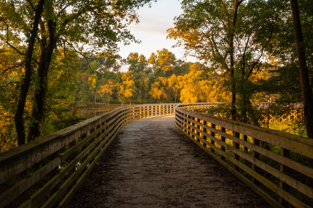 Photo by Juan Carlos Duron Martinez