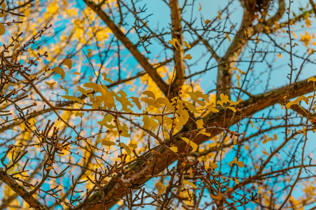 Photo by Juan Carlos Duron Martinez